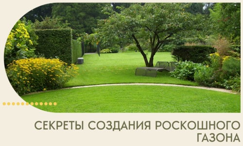 Секреты создания роскошного газона в Алапаевске