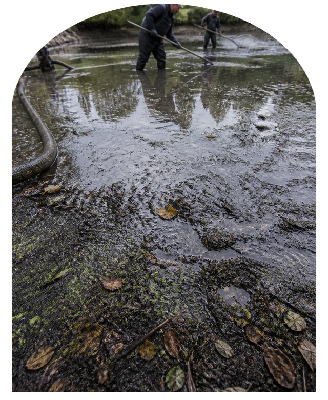 Очистка пруда в Алапаевске от ила мусора и водорослей с вывозом